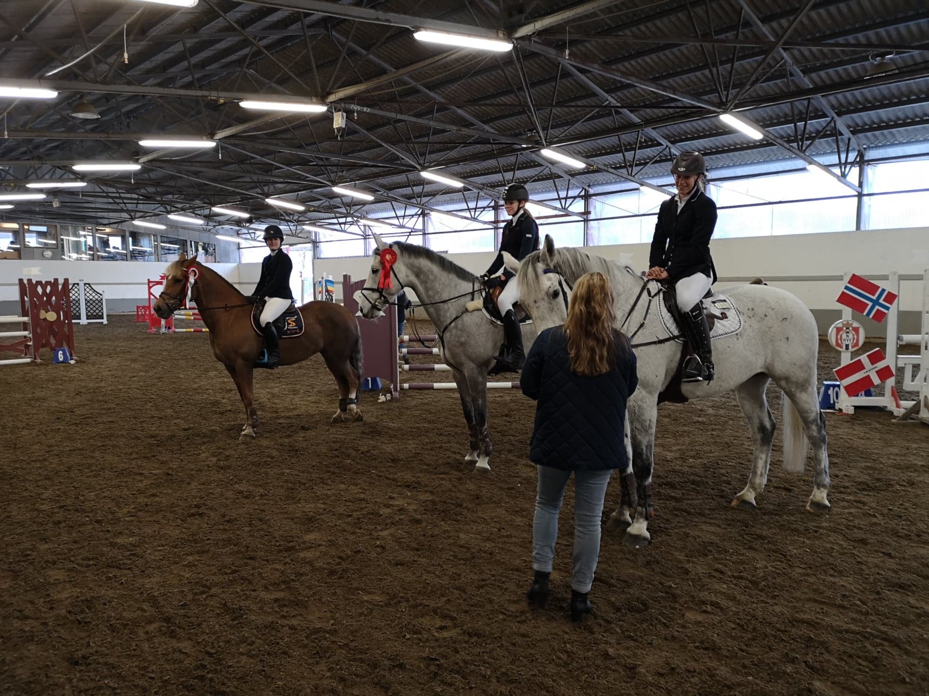 D-stevne Sandnes og Jæren Rideklubb 26-27.januar 2019